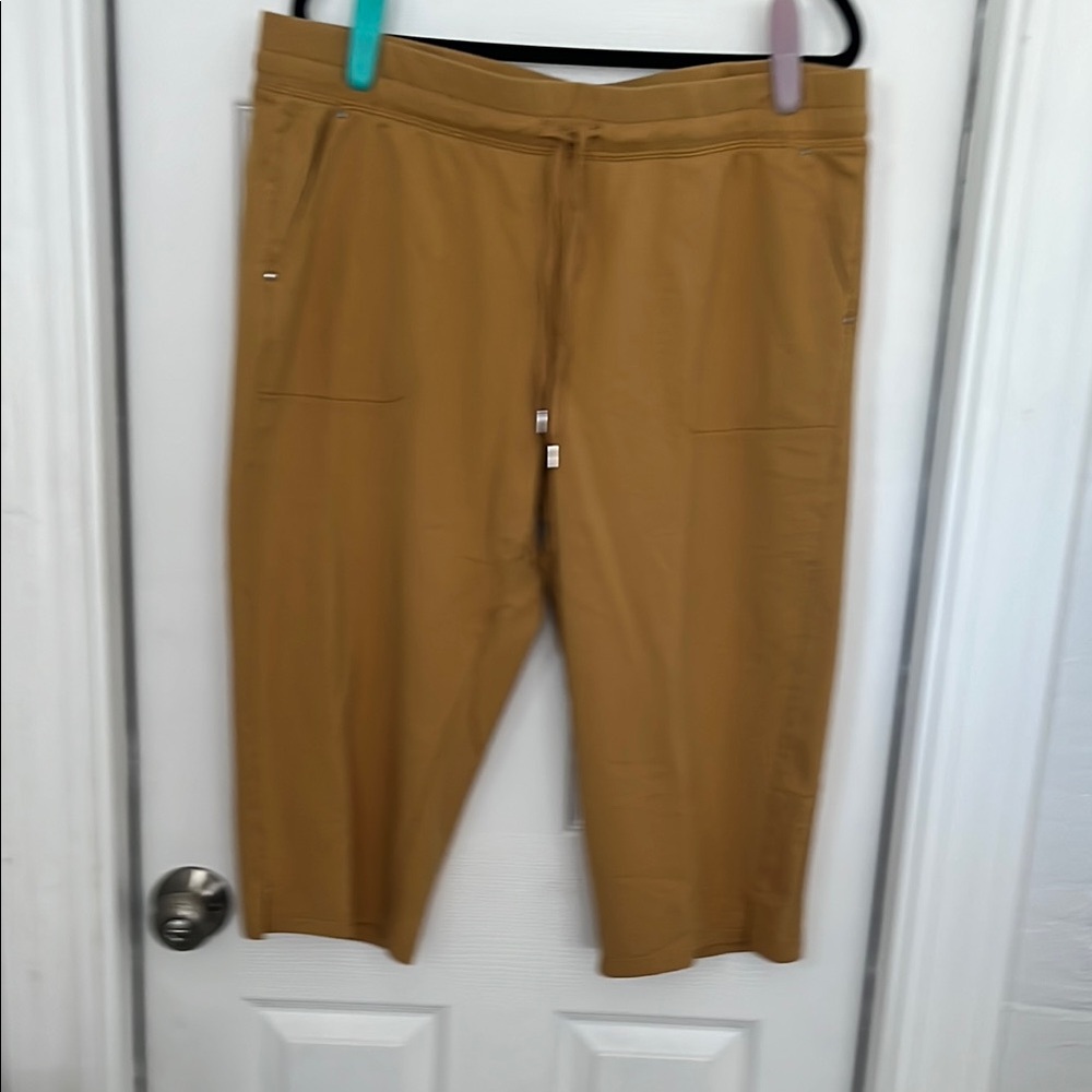 Sport Savvy Tan Pants